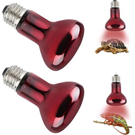 E27 50W rote, dimmbare Infrarot-Wärmelampen für Reptilien, Amphibien und Terrarien (1/5)