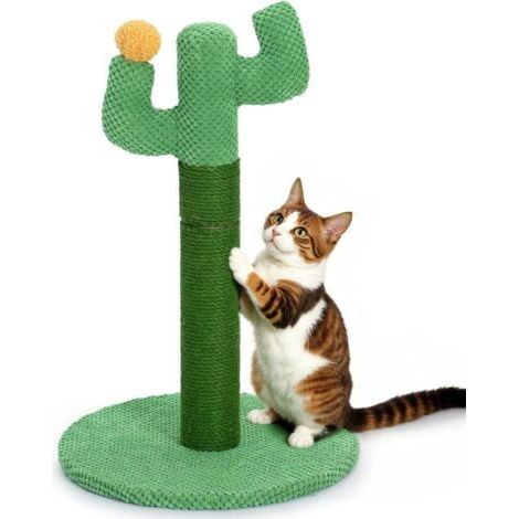 Cactus Griffoir pour Chat 50 cm - Happy & Polly Poteau Griffoir Chat en Corde de Tissu Résistant Jute Naturel - Grattoir Chat Base Stable pour Chatons et Chats Adultes d'Intérieur - Vert (1/5)