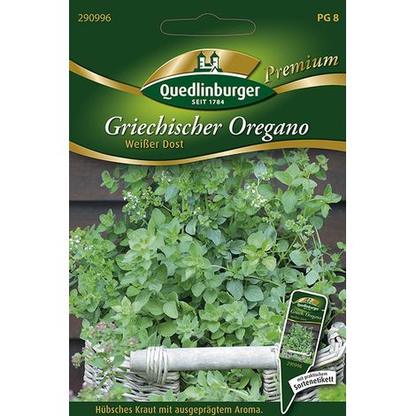 Quedlinburger Saatgut – Origan grec (Weißer Dost) – Graines d'herbes aromatiques, vivace, fleurs blanches, hauteur env. 70 cm