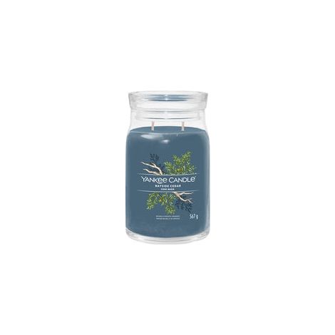 YANKEE CANDLE BAYSIDE CEDAR BOUGIE EN CIRE CYLINDRE FRAICHEUR BLEU 1 PIÈCE(S) (1629980E)