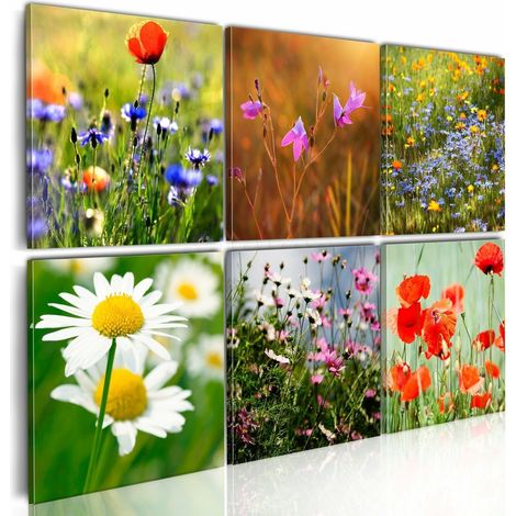 Tableau prairie multicolore - 60 x 40 cm (1/4)