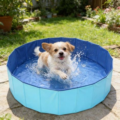 Piscine Chien Pliable PVC - M Anti Glissant Baignoire pour Animal Compagnie Cuneary (1/4)