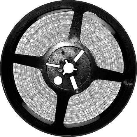 Striscia led 5m 24vdc 24w 4.8w/m Luce bianca 6000k Ip65 Led Smd3528 255045