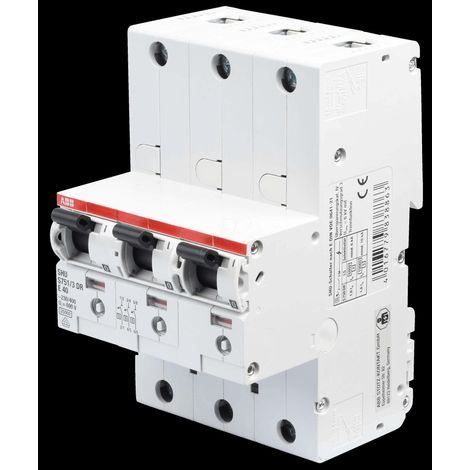Interruptor ABB s751 40 A IP40