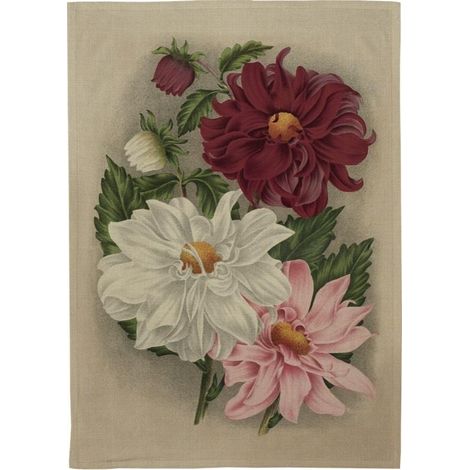 Strofinaccio da cucina - Dalia viola