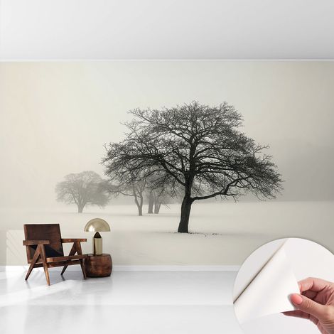 Fotomurale adesivo - parete decorativa - decorazione casa - stile moderno parete - Alberi invernali 416x254 cm (1/5)