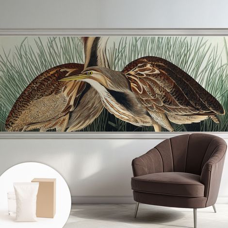 Carta Da Parati - Fotomurale In Vlies - per Decorazione pareti - Per La Cucina Camera Da Letto Per La Soggiorno Uccelli realistici 250x104 cm (1/5)