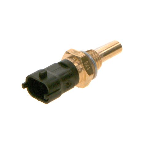 Sensore di temperatura 0281002209 Bosch (1/5)