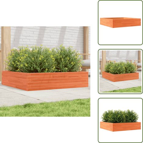 Pflanzkübel Wachsbraun 100x100x23 cm Massivholz Kiefer - Holzpflanze - Hochbeet - Blumenvase - Gartendekoration - Pflanztopf
