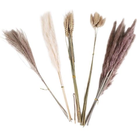 Décoration naturelle en herbe de la pampa, 40 pièces, 45 cm, herbe de la pampa blanche séchée naturelle, poussière de blé, herbe de la pampa (1/5)