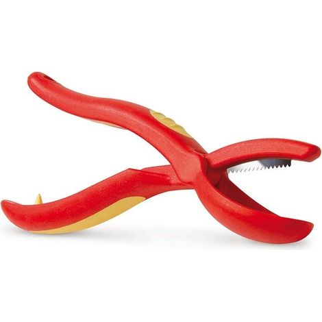 Tagliacastagne SNIPS - Utensile Resistente e Pratico per Castagne