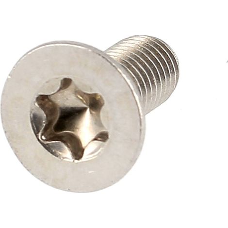 TF Torx M6X16 Inox A2 ISO 14581