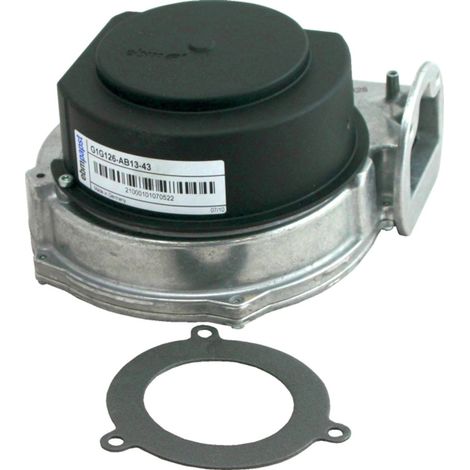 Wolf Ventilatore fino al mese di produzione 10.1999, per GB, 210001099