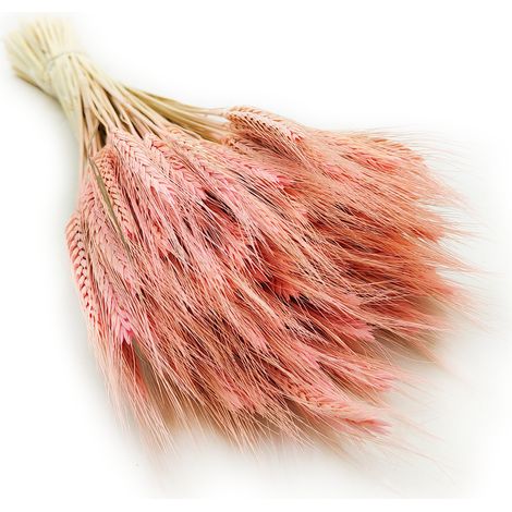 Getrockneter Triticale - Rosa (1/5)