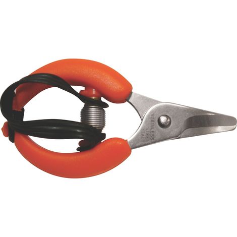 Forbici per Agrumi Lame INOX Ecef 6 Pezzi