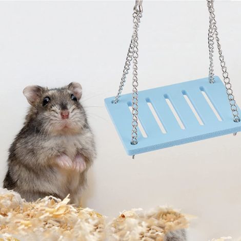 Hamsterspielzeug, blaue Schaukel, Kletterspielzeug und
