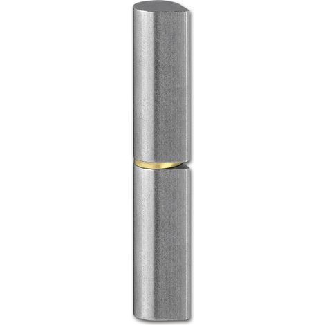 Bandrolle ø 10x60mm Schweißband Türbeschläge Scharnier Bandstift 14mm Edelstahl