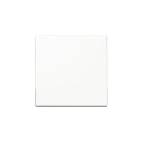 Jung Wippe aws für Taster A 590 WW (1/5)