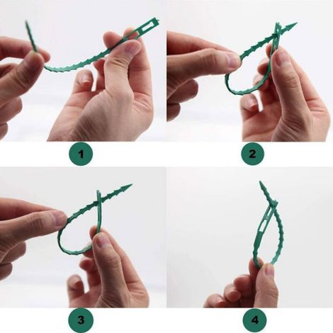 100 Pcs Accroche Tuteurs-17cm pour Tomates Arbres Serre-cable Lien en Plastique Réutilisables Attache Plante pour Arbustes (1/5)