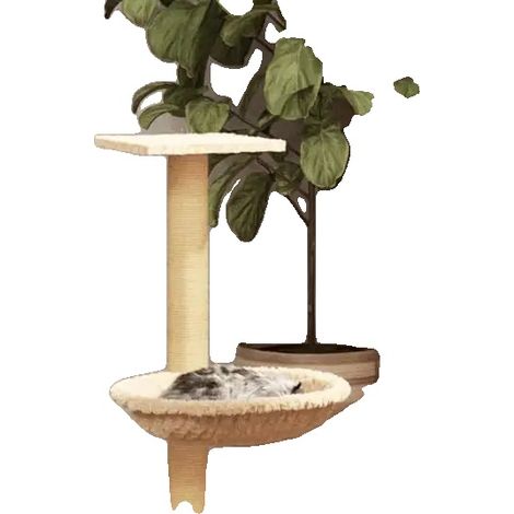 Arbre à chat, poteau à gratter en sisal, usage intérieur, Crème (1/2)