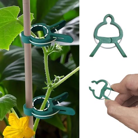 Lot de 10 pinces à plantes réglables et réutilisables pour le jardin : supports pour fleurs, plantes grimpantes et légumes (1/5)