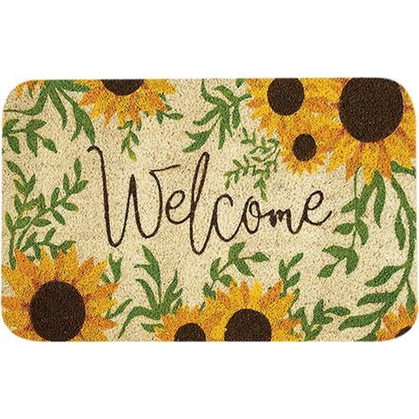Petit tapis pour enfants, tapis d'entrée, tapis de sol absorbants pour hall d'entrée et cuisine, tapis de sol doux, couverture (1/4)