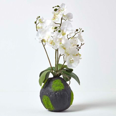 HOMESCAPES White Phalaenopsis Artificial Orchid with Natural Base, 60 cm Tall - White - White