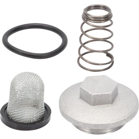 Lntyq Moto Scooter Bouchon Vidange D'huile Moteur Complet Joint Torique + Filtre + Ressort pour 50-150cc GY6 Baotian Benzhou Znen Taotao Moto Set d'accessoires (1/5)