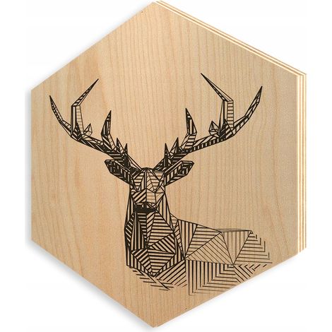 Cuadro sobre contrachapado, madera, HEXAGON, 30x35cm, SP832 (1/5)
