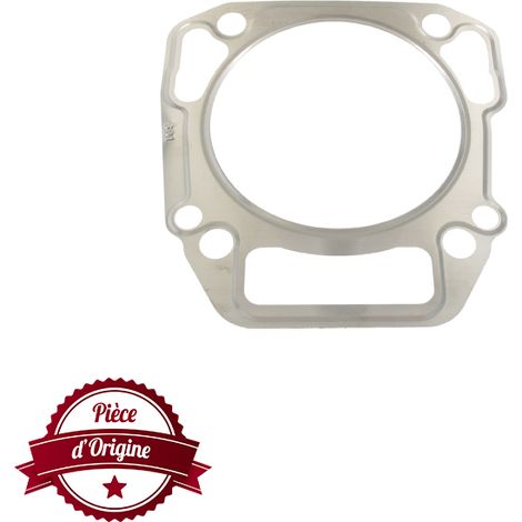 Joint de culasse BRIGGS ET STRATTON 710539