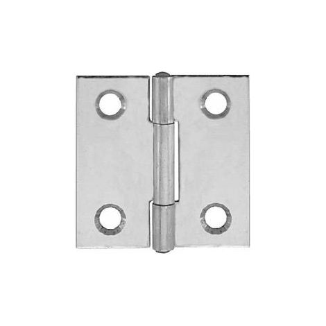 Cerniere piane strette Inox 50 x 30 mm. - 2 pz.