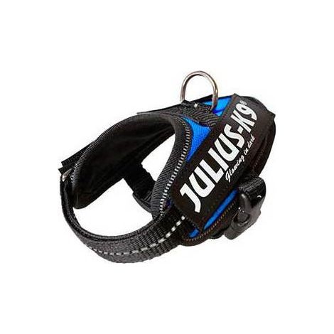 Julius Arn’ © s pour chien IDC Bb 1 bleu