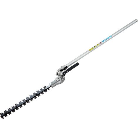 APPLICAZIONE TAGLIASIEPI  DSH 2500 D