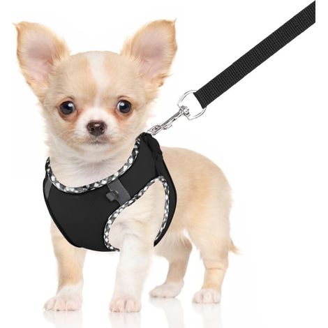 Harnais pour Chien Respirant et Réglable avec Laisse - Confortable et Sécurisé pour Promenade - Taille Ajustable pour Petit Chien et Chiot