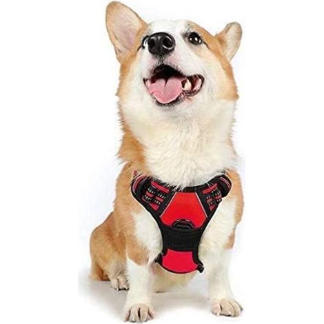 Harnais Chien M Arnais Rouge Anti Traction Réfléchissant Gilet Réglable pour Chien, Attache Devant Crochet de Laisse pour Randonnée Trajet Voiture, Bouledogue Français, Berger Australien-Ensoleillé