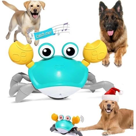 Jouet Interactif pour Chien - Crabe - Mouvement Latéral - Rechargeable USB - Sons Amusants (1/4)
