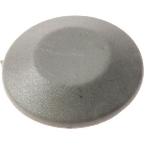 Capuchon de Charnière pour Réfrigérateur DOMETIC 2412743110