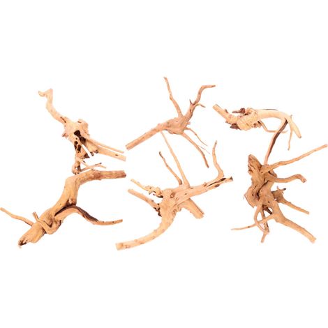 Bois Fossile - Décoration Aquarium Poissons - Racine de Bois Naturel pour Aquascaping - 7 Pièces - 10 à 20 cm (1/5)