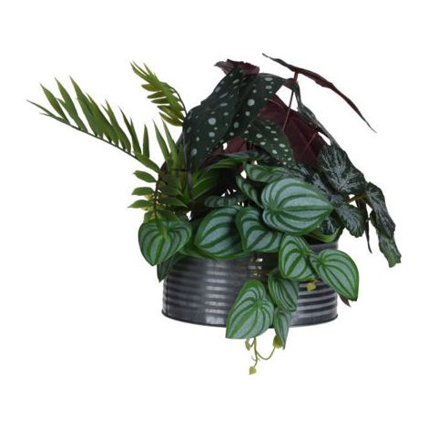 MACETA C/PLANTA 28CM