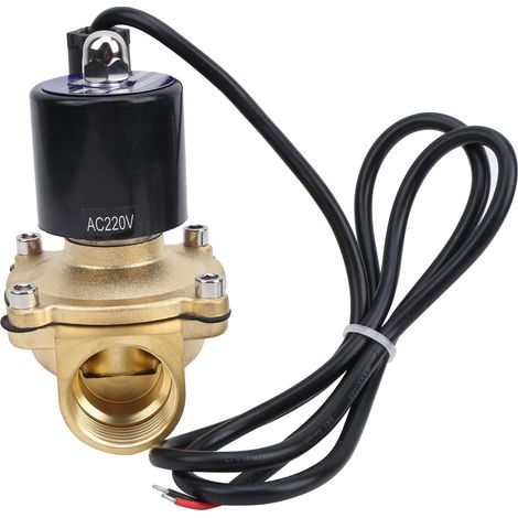 Électrovanne G1 en laiton, normalement fermée, à action directe, pour usage industriel, 2 A - 250-25 V, 220 V CA (1/5)