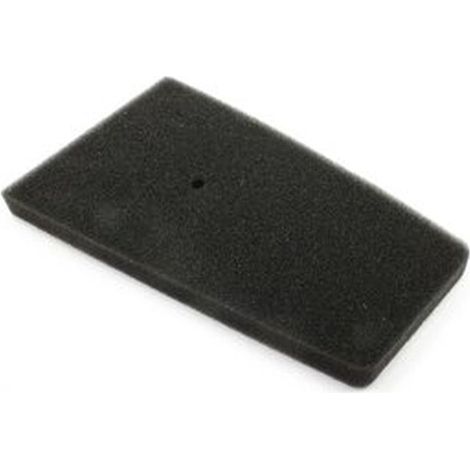 Filtre à air Athena d'origine pour Honda SZX 50 1998-1999 (17205GCM900)