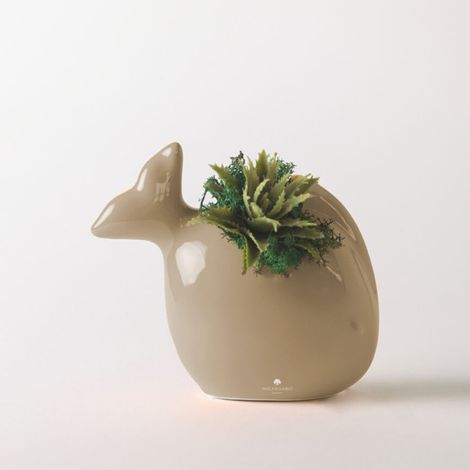 Pianta grassa in vaso ceramico artigianale per decorazione e regalo Pesciolino - Beige