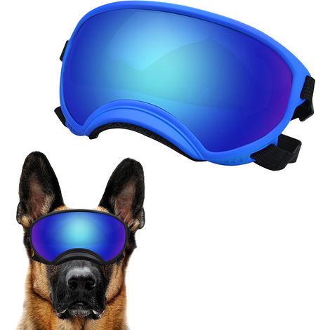 Lunettes de protection pour chiens de race moyenne à grande, protection UV, verres magnétiques transparents, coupe-vent, pour sports d'hiver. (1/5)