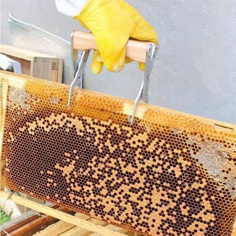 Pince Cadre Ruche - Acier Inoxydable - Poignée Bois - Pour Apiculture - 1 Pièce (1/5)