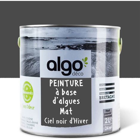 Peinture écologique Algo - Mat - Ciel noir d'hiver - 2L (1/5)