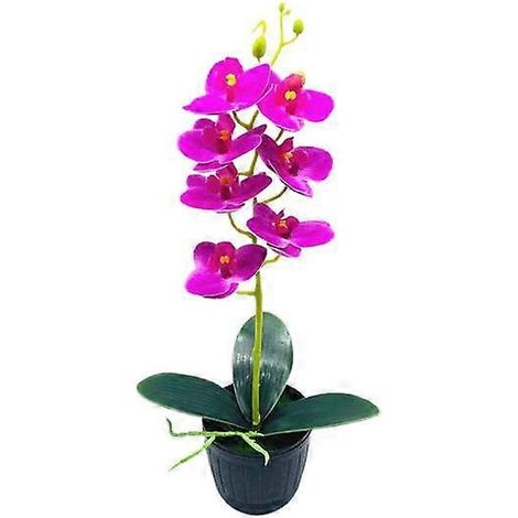 Orchidée artificielle en pot, présentoir en plastique aspect naturel, plante en pot décorative.violet (1/5)