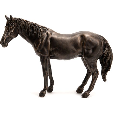 Amadeus - Cheval Colorado