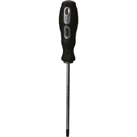 Tournevis Torx Tt25 Fischer Darex Embout Torx Tt25 Inviolable - Fischer Darex