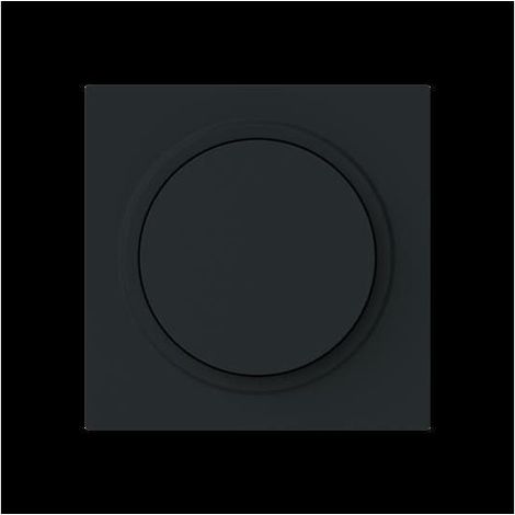 Busch-Jaeger Placa central para atenuador mando giratorio con lámpara de neón negro mate - Busch-art linear® (6540-45M-102), 2CKA006599A3055