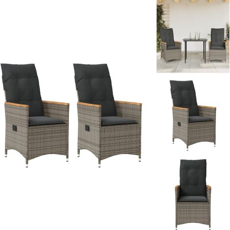 Chaises inclinables de jardin lot de 2 et coussins gris rotin - Chaise De Jardin - Fauteuil De Jardin - Chaise Inclinable - Mobilier De Jardin - Résine Tressée (1/5)
